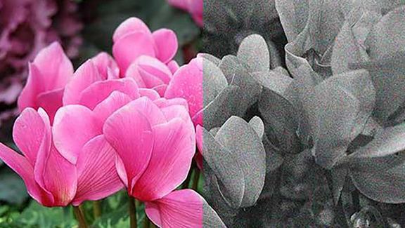 1548051792994378.jpg 3.jpg